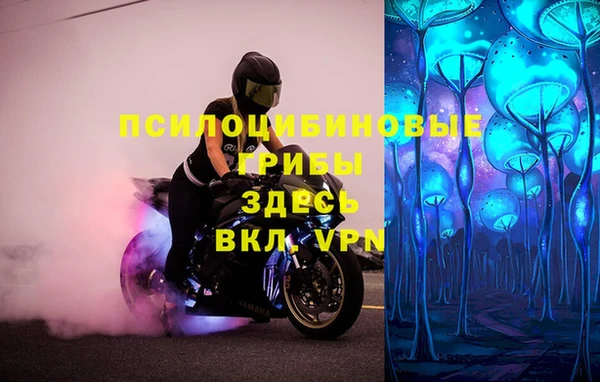 бошки Арсеньев
