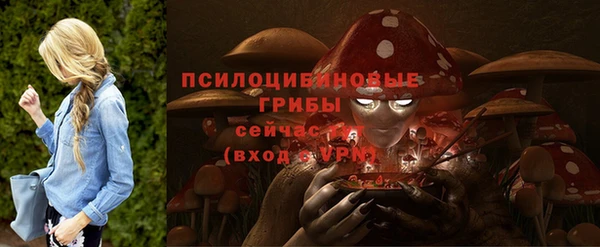 ECSTASY Аркадак