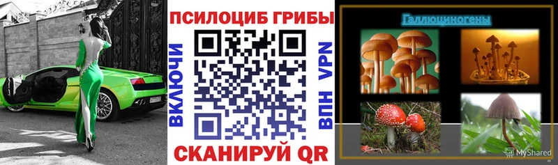 Галлюциногенные грибы GOLDEN TEACHER Георгиевск